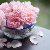 ラジオタイムズ薔薇