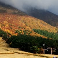 山は秋色