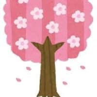 24年04月13日(土) 🍀早く来い！桜前線！🍀