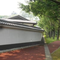 まさか夏霞み？？