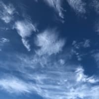 うた