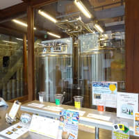 朝から昼までの営業　Whale Brewing（その２）