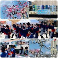 東美濃PRイベントに出演！