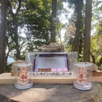 高尾山に登ってきたよ！