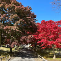 豊里町香林寺
