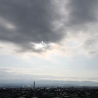 バラ園へ