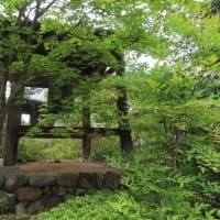 洛北の地、圓通寺のお庭を愛でる