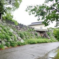 中津城 豊前　絵図を参照して門跡を見学する　東海古城研究会の見学会で訪れました