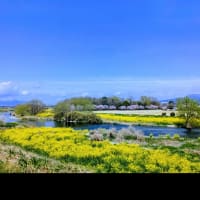 西部公園