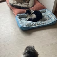 一直線