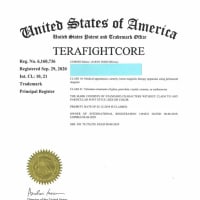 TERAFIGHTCORE  Application for international registration   Authorized