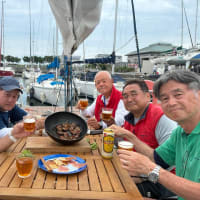 ６月８日(日)江の島YCクラブレース