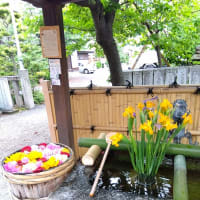 5月１日を迎えました。月初めの野見神社⛩にお参りしてきました。