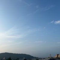 ヒデオフィッシュ。