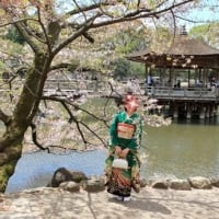 成人式前撮り『桜と着物フォト・奈良公園』
