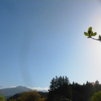 卒業します♪