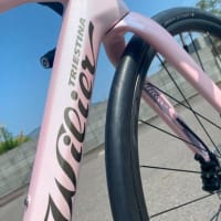 スペシャルカラーの限定モデルが入荷しました！