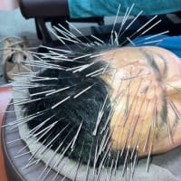 【手遅れになる前に…】