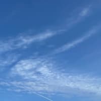 「遠野なぎこさん自宅から遺体発見」？
