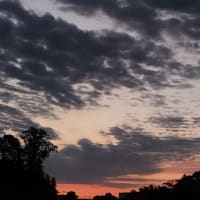 朝空