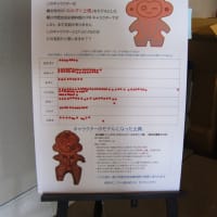 べに花の町、埼玉県桶川市　その１