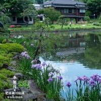 川のほとりの庭園。