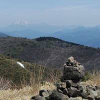 道後山へ