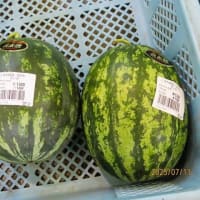 あおいパークで一休み