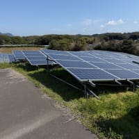 【九州全域対応】太陽光発電所・メガソーラーの草刈り・除草剤散布なら「便利屋タスケット」へ