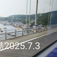 2025"   伊まりの "アートいろ ❣ 彩 ❣ 色 ❣！