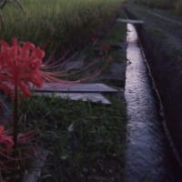 見捨てられる　その②