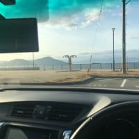 国道31号線