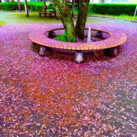 ごろごろ