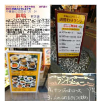 中華街2025　1月変化64　胖鴨　