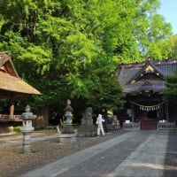 玉敷神社の大藤💕