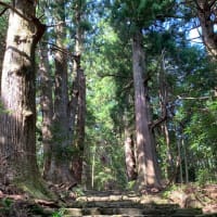 熊野古道（大門坂～那智大社）