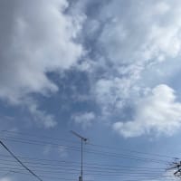 ✤久しぶりの……✤