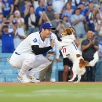 デコピン始球式　素敵なドッグショー