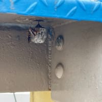 アシナガバチの巣