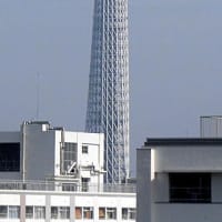 2025/6/12の朝の東京スカイツリー