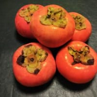 石巻の次郎柿