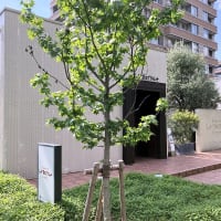 BOULANGERIE（ブーランジェリー）・・・・・ MAISON KAYSER