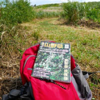 再度、平尾台へ！