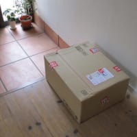 イザベルさんのミニハンカチ入荷・・・