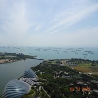 シンガポール観光で見えた大阪の未来