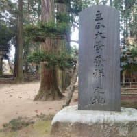 飯高城(2025年1月26日)