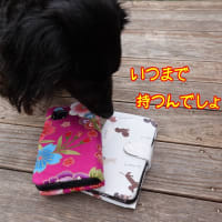 スマホカバーの再生