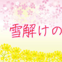 靴新調。