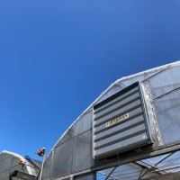 暑かった