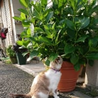 あっという間の1週間 🍀